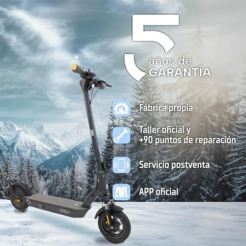 ZWHEEL ZFOX MAX | Patinete Eléctrico para Adultos Homologado DGT - 800W MAX, 50km de Autonomía, Resistente al Agua, Rued